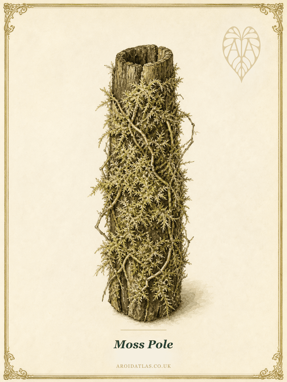 Moss Pole