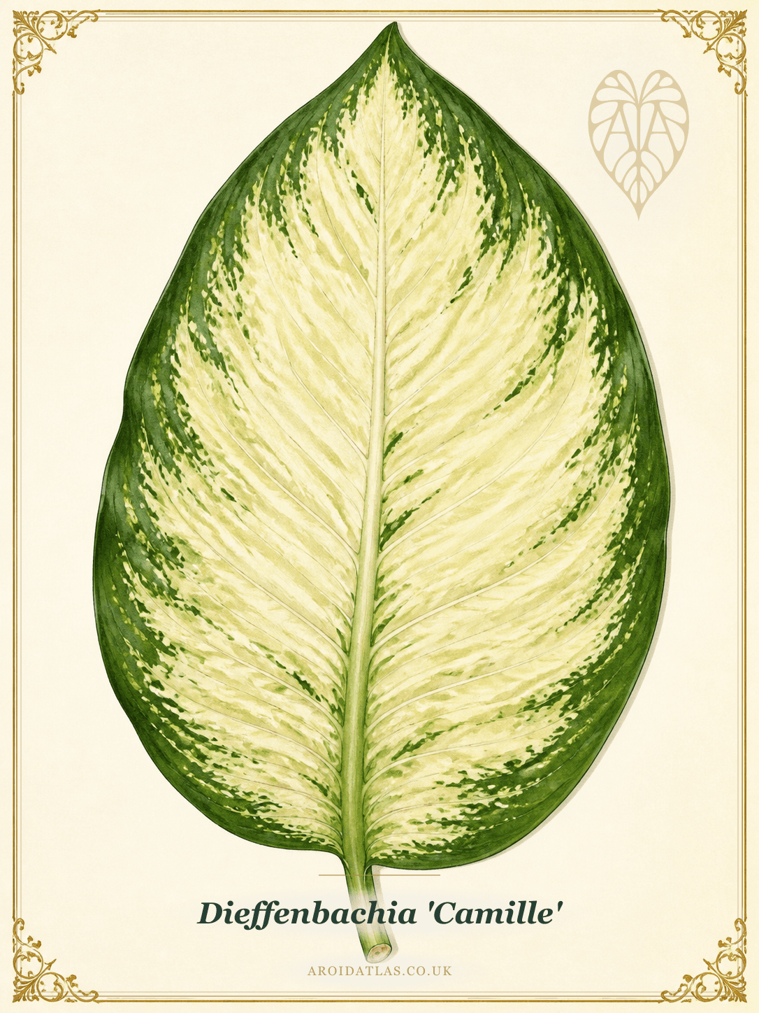 Camille Dumb Cane