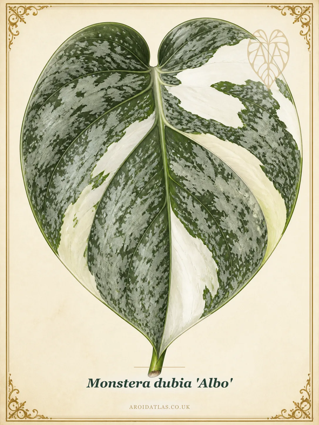 Albo Shingle Plant
