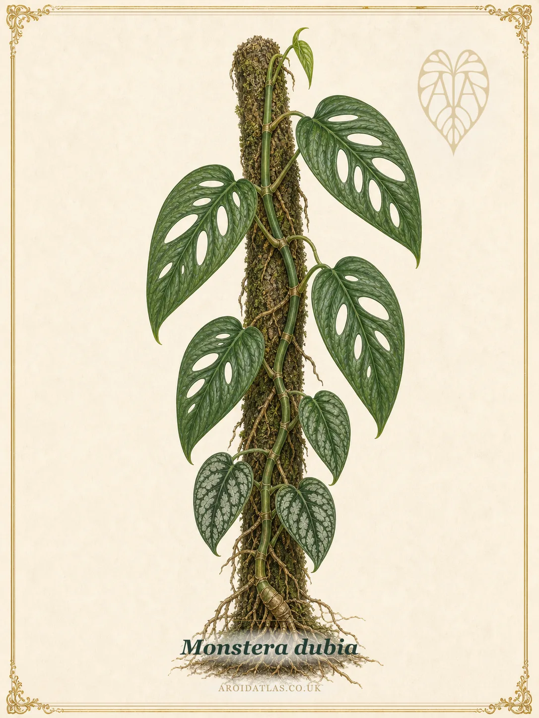 Shingle Plant